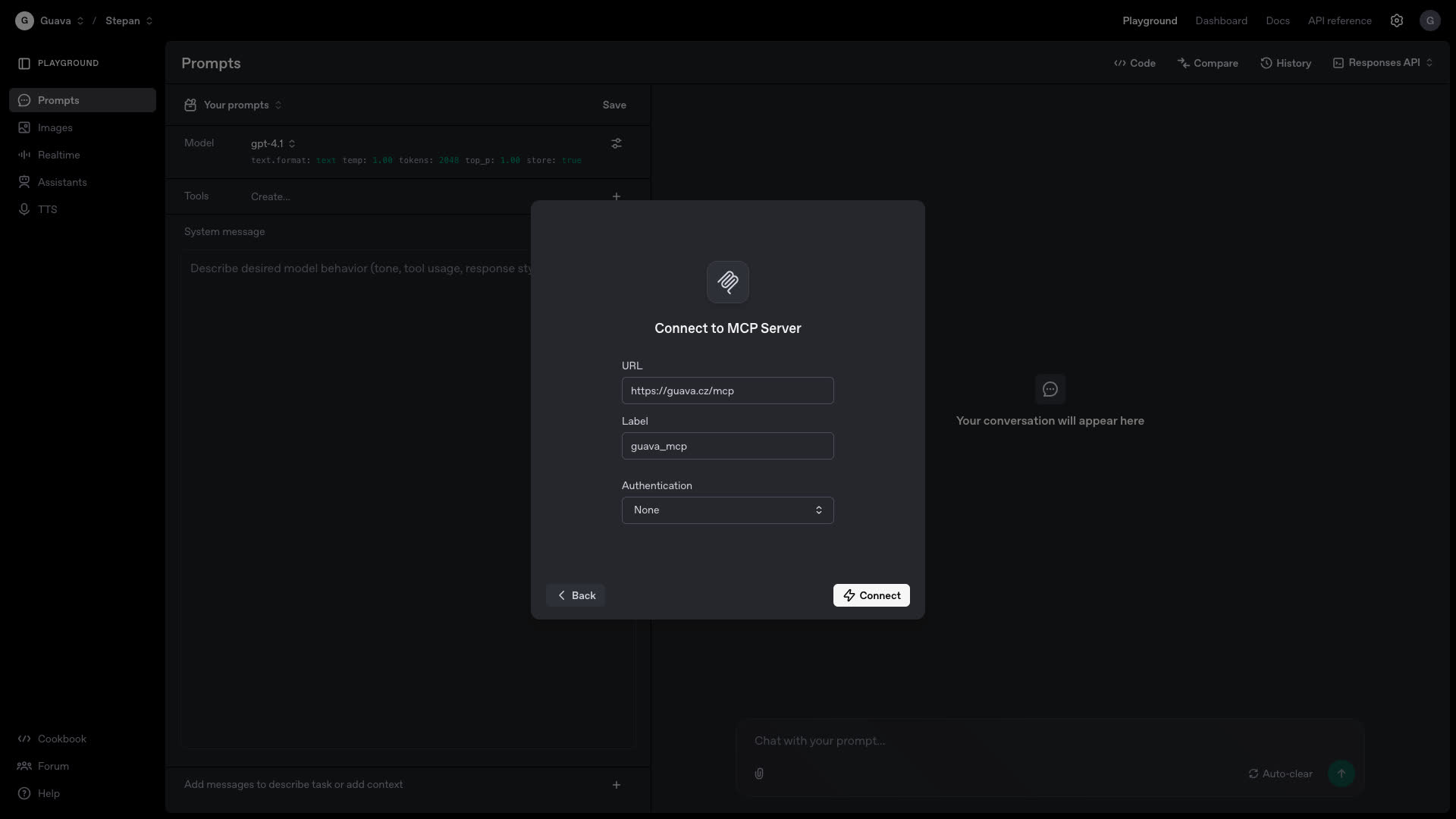 OpenAI's playground with MCP connection